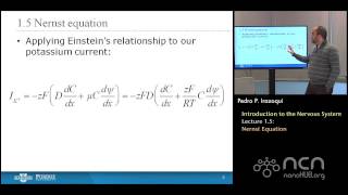 nanoHUBU Bioelectricity L15 The Nervous System  Nernst Equation [upl. by Atteynek]