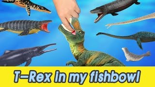 EN 54 Lets raise Trex in my fishbowl kids education Dinosaurs animationㅣCoCosToy [upl. by Towney]