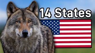 The Wolf Population In Each State They Inhabit amp Their Future [upl. by Aleahs]