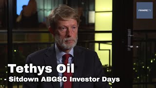 Tethys Oil  ABGSC Investor Days dec 2019 [upl. by Akinad]