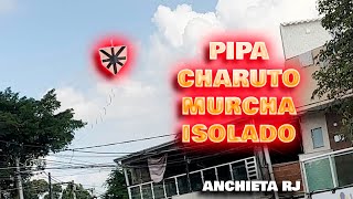 Pipa Charuto no PUXÃO CharuMurcha no Rélo isolado  Pipão cortou várias no céu azul de Anchieta RJ [upl. by Orual]