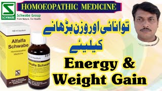 Alfalfa Schwabe Syrup for Energy  Homoeopathic Medicines  DrWillmar Schwabe Germany  Urdu Hindi [upl. by Airenahs282]