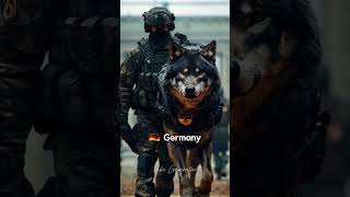 World Special Forces UK Japan Germany and many more Request your country in comments military [upl. by Lorens]