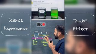 Tyndall Effect Experiment with TRUE solution amp COLLOIDAL solution  Class 9th  Science experiment [upl. by Eimmot939]
