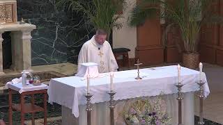 St Petronille Live Stream 730 am Rosary And Mass Tuesday Oct 15 2024 St Theresa of Jesus [upl. by Appleton]