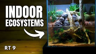 How to Build a Paludarium  Expert Masterclass [upl. by Reynolds70]