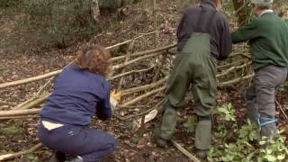 Hedge Laying Training at Jerusalem Farm [upl. by Eeliak]