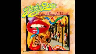 Steely Dan  Only a Fool Would Say That [upl. by Enel]