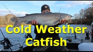 Catching blue catfish in cold weather and using sonar to find catfish [upl. by Berny]