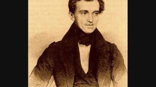 Marcha Radetzky Johann Strauss [upl. by Nadual236]