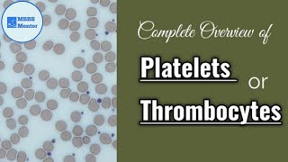 Platelets  Thrombocytes  Blood Physiology [upl. by Harikahs]