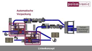 Doppellinie mit Vereinzelung Inspektion und Verpackung [upl. by Ahsial]