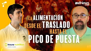 La alimentación desde el traslado hasta el pico de producción con Jon de los Mozos [upl. by Hotchkiss949]