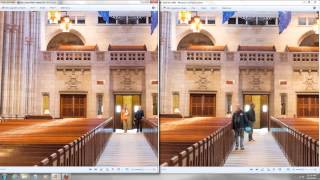 Nikon D600 vs Nikon D800 Focus Color ISO Test with Sample Pictures [upl. by Acimad]