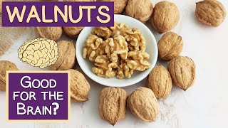 Benefits of Walnuts Are They Really a quotBrain Foodquot [upl. by Oiznun439]