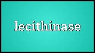 Lecithinase Meaning [upl. by Skylar]