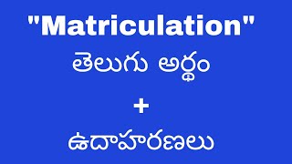 Matriculation meaning in telugu with examples  Matriculation తెలుగు లో అర్థం meaningintelugu [upl. by Perlman]