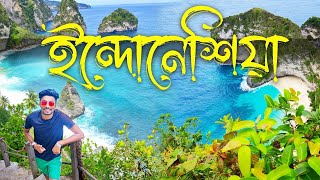 ইন্দোনেশিয়া ভ্রমণের খরচ কত [upl. by Ressan19]