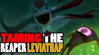 Subnautica  TAMING THE REAPER LEVIATHAN HOW TO TAME IT amp ALL OTHER CREATURES  Gameplay [upl. by Anoerb]