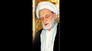 Ayatollah Bahjat  Etiquette Of Ziarat Of Imam Ali Reza as [upl. by Starlene]