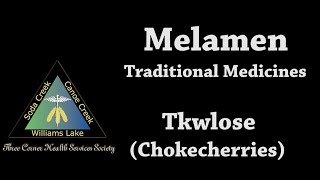 Melamen  Chokecherry Syrup [upl. by Artapoelc403]