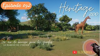 Planet Zoo  FR  Héritage Zoo  Episode 142  Un air de brousse pour les girafes🦒 [upl. by Nabatse755]