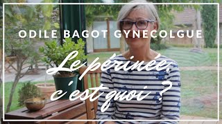 Le périnée cest quoi  Quand et Comment le Muscler  Tout sur la Rééducation Périnéale  Dr Bagot [upl. by Rosaleen]