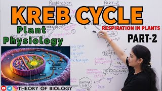 Kreb cycleRespiration in plants PART2 PLANT PHYSIOLOGYNEET 2025HTET BIOLOGYDSSSBKVSNVS PGT [upl. by O'Shee21]