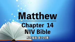 NIV Bible⎜Matthew chapter 14⎜audio bible with text⎜有聲聖經英語⎜中英字幕⎜馬太福音第十四章⎜聆聽版 [upl. by Yoshi928]