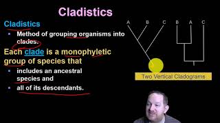 41 Systematics Phylogeny and Cladistics [upl. by Fording]