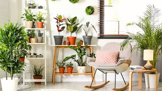 Top Modern indoor plants decor ideas home interior design 2023Home Interior Design [upl. by Esmerolda]