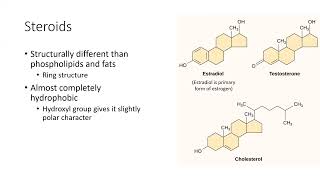 6 Macromolecules part 2 [upl. by Kathrine]