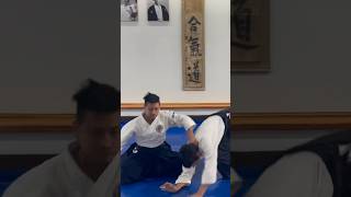 Dynamic Aikido Leo Sakanashi Sensei 🙏 aikidopractice [upl. by Atteiram]