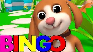 Bingo was his nameNursery RhymesKids songsbabies song [upl. by Ignacius]