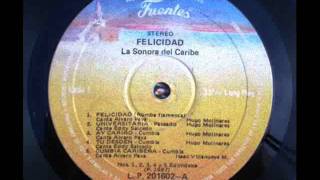 Felicidad  La Sonora del Caribe [upl. by Steve]