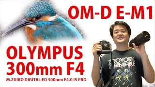 OMD EM1で再挑戦！MZUIKO 300mm F40 PRO 換算600mm相当のオリンパス単焦点レンズ、14倍テレコンで840mm相当を手持ちで [upl. by Yodlem]