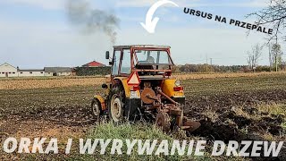 ★Ursus na przepale★ Emisja spalin 100🤯 orka 2022 i wyrywanie drzew😲✓ [upl. by Renny]