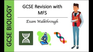 GCSE Biology Homeostasis and Response Walkthrough Part 1 [upl. by Farnham]