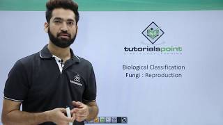 Class 11th – Kingdom Fungi – Reproduction  Biological Classification  Tutorials Point [upl. by Lamrouex]