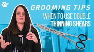 When to use double thinning scissors for dog grooming  Grooming Tips  TRANSGROOM [upl. by Cooperman263]