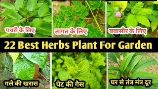 22 Best Herbs Plant For Garden  यह 22औषधीय पौधे गार्डन में जरूर लगाएं  Home Garden [upl. by Wier374]