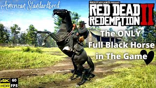 RED DEAD REDEMPTION 2  Black American Standardbred Location  Get Black Standardbred Early RDR2 [upl. by Zandra]