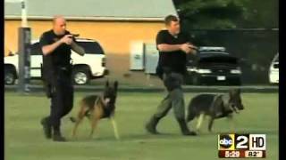 K9 Unit training [upl. by Aicala609]