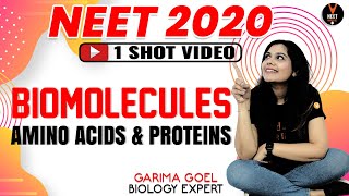 Amino Acids and Proteins  Biomolecules Class 11  NEET 2020 Preparation  NEET Biology Garima Goel [upl. by Nommad]