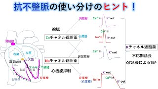 心電図：暗記からの卒業 110話 抗不整脈の概要 [upl. by Clemmy]