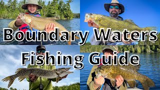 The Ultimate Fishing Guide To The BWCA speciesbyspecies breakdown [upl. by Ruby412]