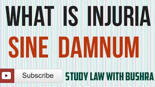 What is Injuria Sine Damnum I Kinds of Injuria I Law of Torts [upl. by Weixel]