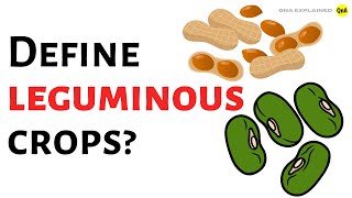 Define leguminous crops   QnA Explained [upl. by Jovi577]