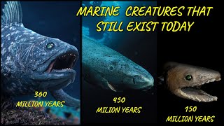 The 12 Prehistoric Creatures That Are Still Alive Today [upl. by Binah563]