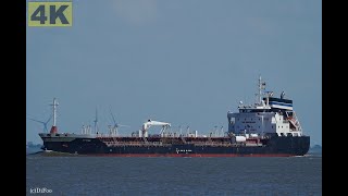 BDP SPIRIT  Shipspotting Germany 🇩🇪 IMO 9424053  River Elbe near City Otterndorf  4K VIDEO [upl. by Nomrah156]